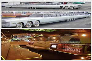 Longest Limousine